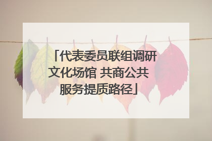 代表委员联组调研文化场馆 共商公共服务提质路径