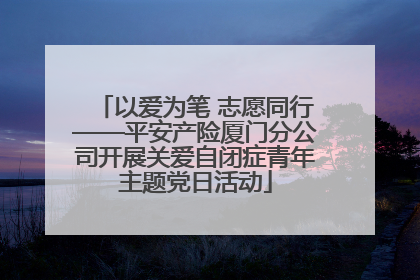 以爱为笔 志愿同行——平安产险厦门分公司开展关爱自闭症青年主题党日活动