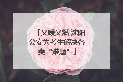 又暖又燃 沈阳公安为考生解决各类“难题”