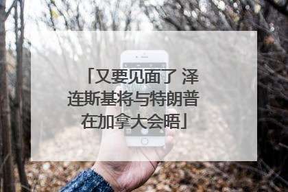 又要见面了 泽连斯基将与特朗普在加拿大会晤