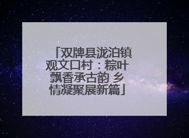 双牌县泷泊镇观文口村：粽叶飘香承古韵 乡情凝聚展新篇