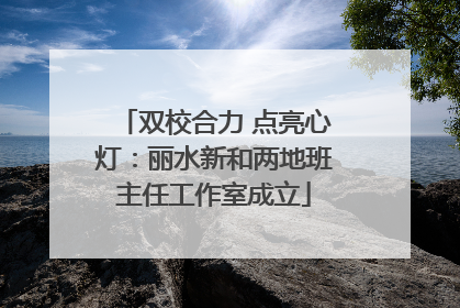双校合力 点亮心灯：丽水新和两地班主任工作室成立