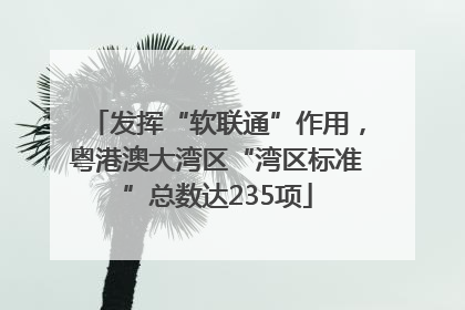 发挥“软联通”作用，粤港澳大湾区“湾区标准”总数达235项