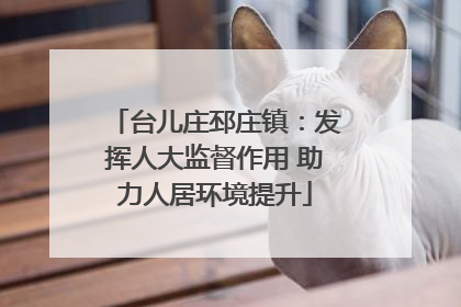 台儿庄邳庄镇：发挥人大监督作用 助力人居环境提升