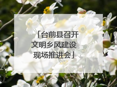 台前县召开文明乡风建设现场推进会