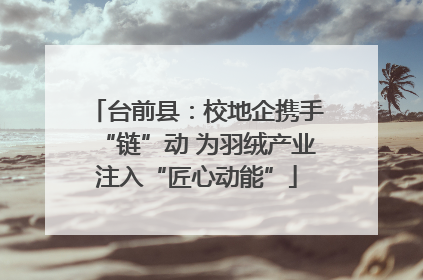 台前县：校地企携手“链”动 为羽绒产业注入“匠心动能”