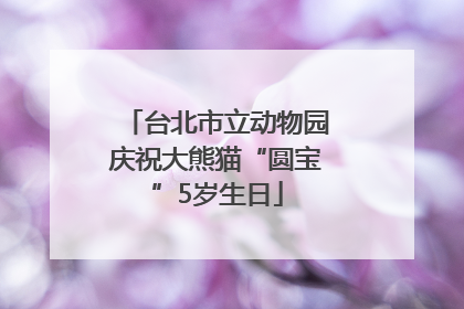 台北市立动物园庆祝大熊猫“圆宝”5岁生日