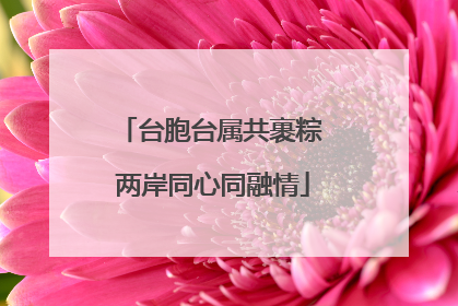 台胞台属共裹粽 两岸同心同融情