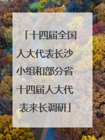 十四届全国人大代表长沙小组和部分省十四届人大代表来长调研