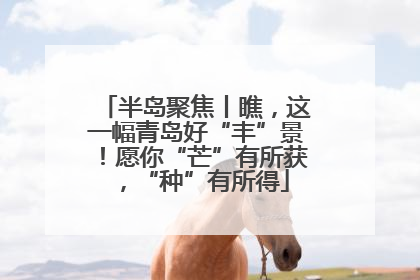 半岛聚焦丨瞧，这一幅青岛好“丰”景！愿你“芒”有所获，“种”有所得