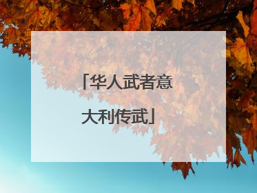华人武者意大利传武