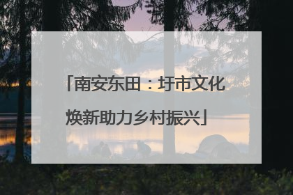 南安东田：圩市文化焕新助力乡村振兴