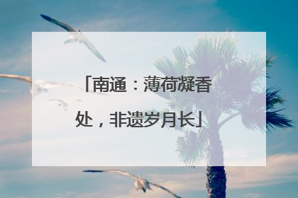 南通：薄荷凝香处，非遗岁月长
