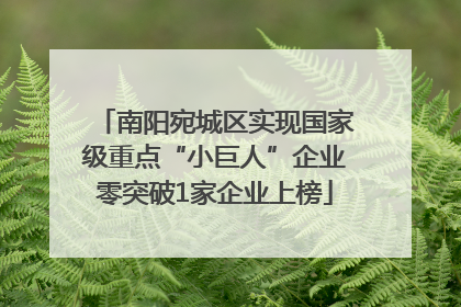 南阳宛城区实现国家级重点“小巨人”企业零突破1家企业上榜