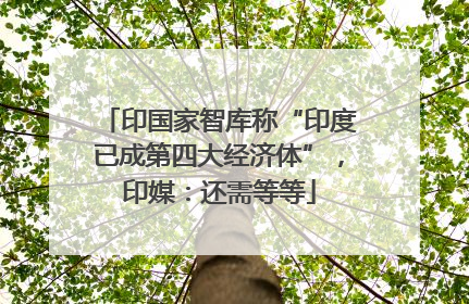 印国家智库称“印度已成第四大经济体”，印媒：还需等等