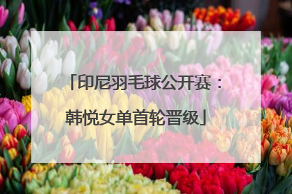 印尼羽毛球公开赛：韩悦女单首轮晋级