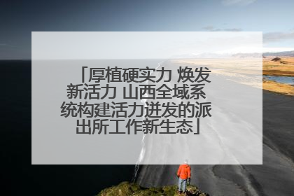 厚植硬实力 焕发新活力 山西全域系统构建活力迸发的派出所工作新生态