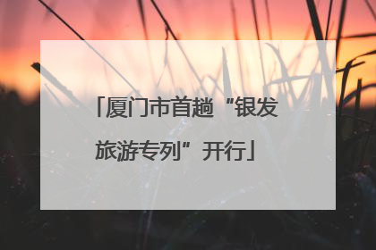 厦门市首趟“银发旅游专列”开行