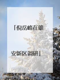 倪岳峰在雄安新区调研