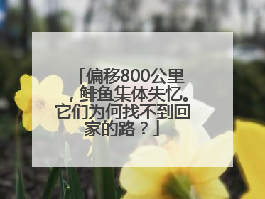 偏移800公里，鲱鱼集体失忆。它们为何找不到回家的路？