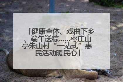 健康查体、戏曲下乡、端午送粽……枣庄山亭朱山村“一站式”惠民活动暖民心