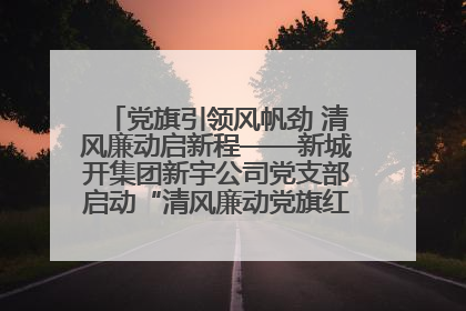 党旗引领风帆劲 清风廉动启新程——新城开集团新宇公司党支部启动“清风廉动党旗红”系列活动