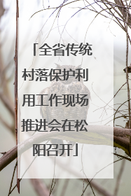 全省传统村落保护利用工作现场推进会在松阳召开