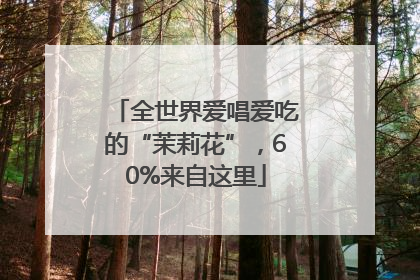 全世界爱唱爱吃的“茉莉花”，60%来自这里