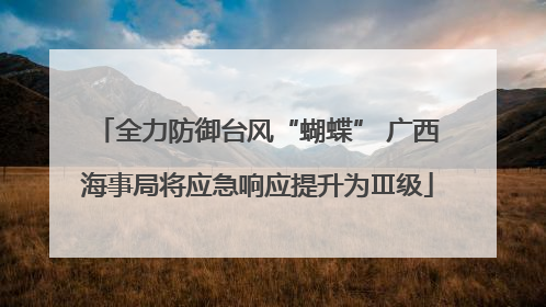 全力防御台风“蝴蝶” 广西海事局将应急响应提升为Ⅲ级