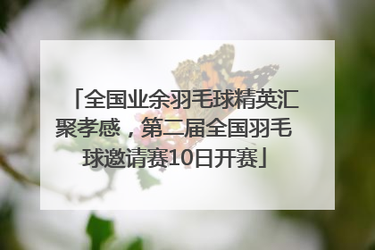 全国业余羽毛球精英汇聚孝感，第二届全国羽毛球邀请赛10日开赛