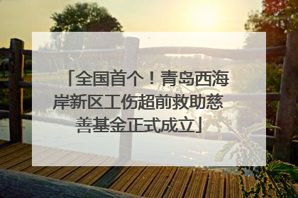 全国首个！青岛西海岸新区工伤超前救助慈善基金正式成立