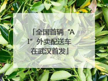 全国首辆“AI”外卖配送车在武汉首发