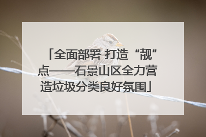 全面部署 打造“靓” 点——石景山区全力营造垃圾分类良好氛围