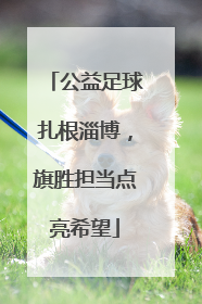 公益足球扎根淄博，旗胜担当点亮希望