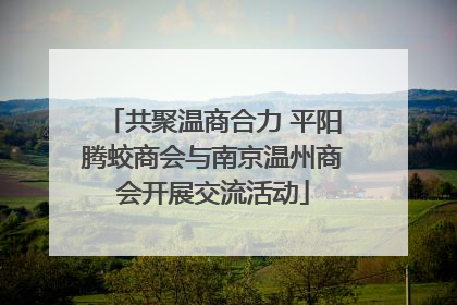 共聚温商合力 平阳腾蛟商会与南京温州商会开展交流活动