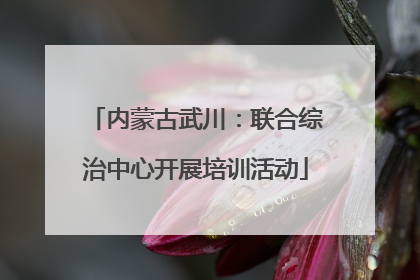内蒙古武川：联合综治中心开展培训活动