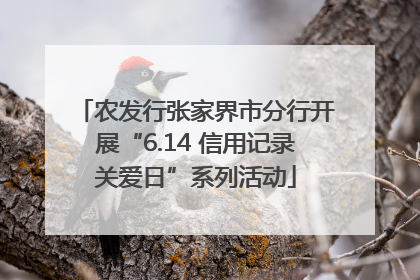 农发行张家界市分行开展“6.14 信用记录关爱日”系列活动