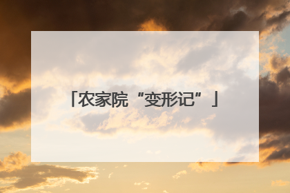 农家院“变形记”