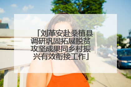 刘革安赴桑植县调研巩固拓展脱贫攻坚成果同乡村振兴有效衔接工作