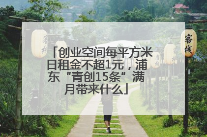 创业空间每平方米日租金不超1元，浦东“青创15条”满月带来什么