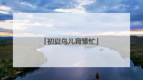 初夏鸟儿育雏忙