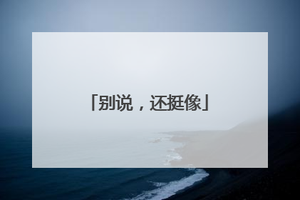 别说，还挺像