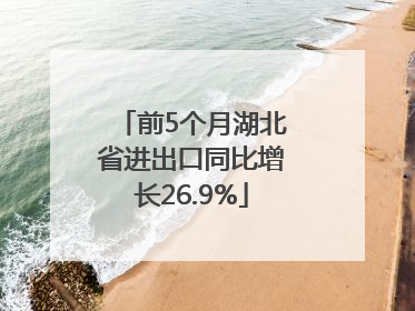 前5个月湖北省进出口同比增长26.9%