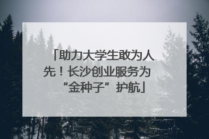 助力大学生敢为人先！长沙创业服务为“金种子”护航
