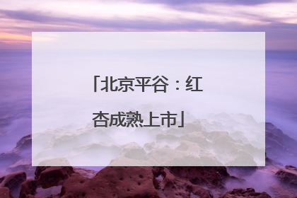 北京平谷：红杏成熟上市