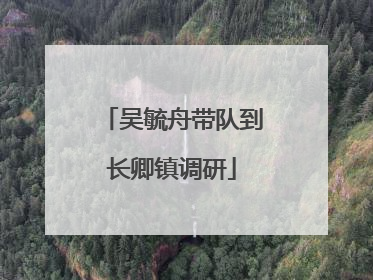 吴毓舟带队到长卿镇调研