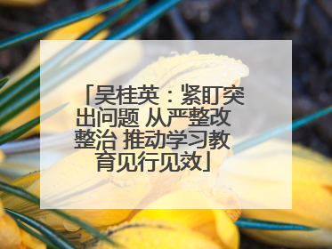吴桂英：紧盯突出问题 从严整改整治 推动学习教育见行见效