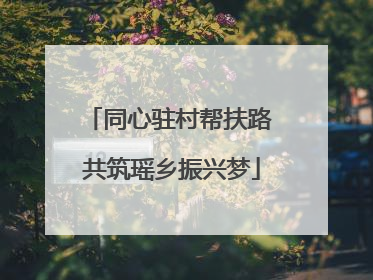 同心驻村帮扶路 共筑瑶乡振兴梦