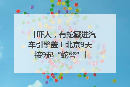 吓人，有蛇藏进汽车引擎盖！北京9天接9起“蛇警”
