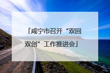 咸宁市召开“双回双创”工作推进会